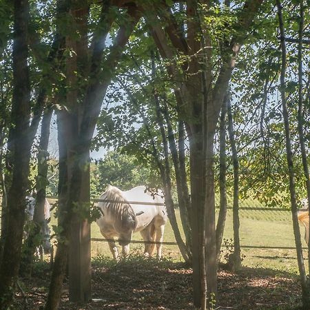 Вілла Bois Des Nauzes Seyches Екстер'єр фото